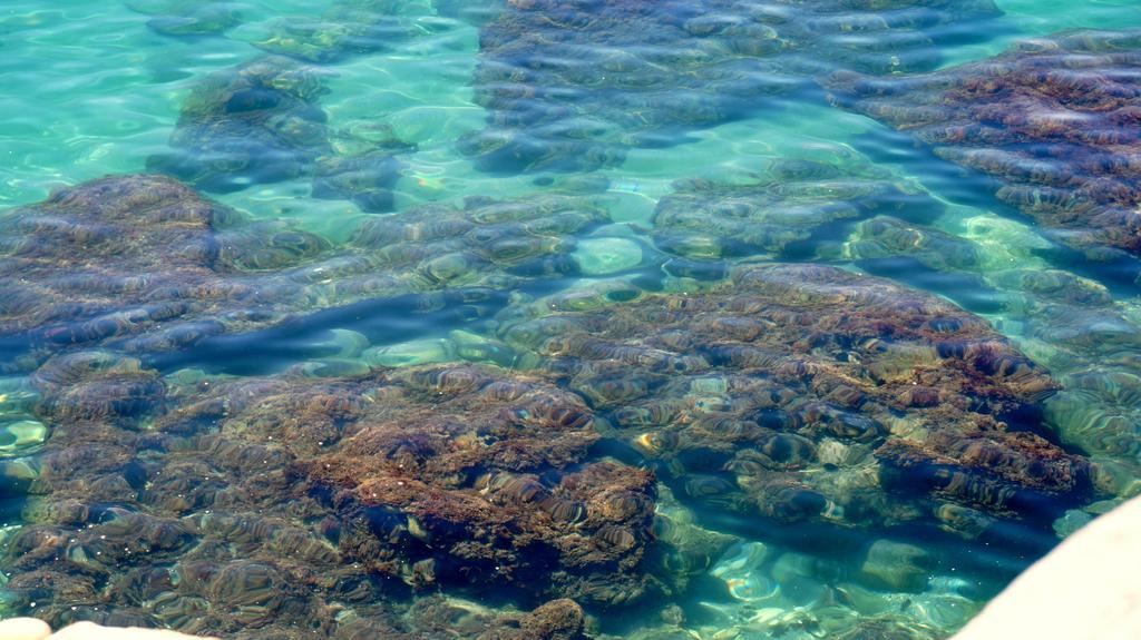 Apartamentos StarNerja en Stella Maris Exteriör bild
